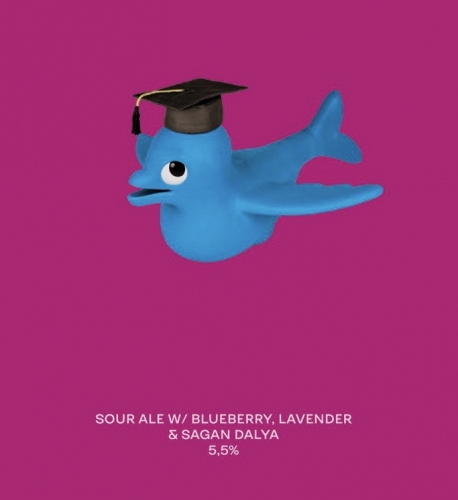 Флай Фиш Юниверсити