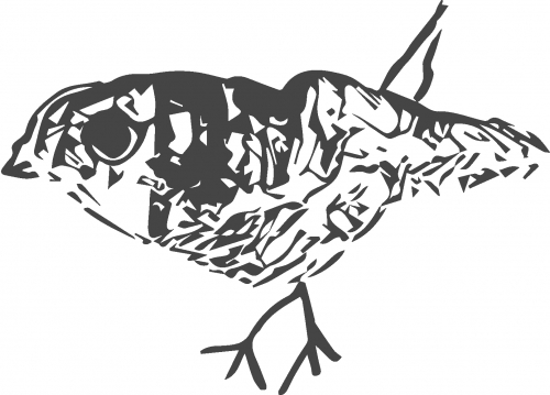 АТЕЛИЕР ВРАИ