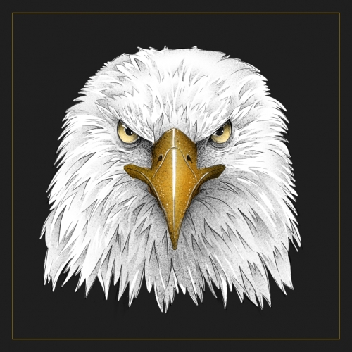 Керведжариа 365