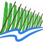 Ковиче Креек