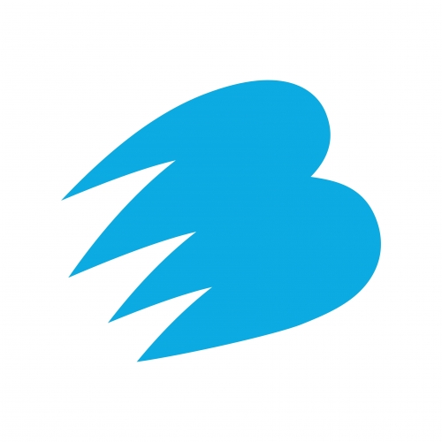 Електрик Беар Бревинг Ко