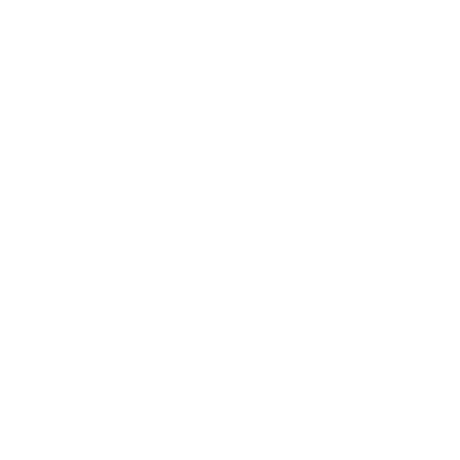 Есбджерг Бригхус