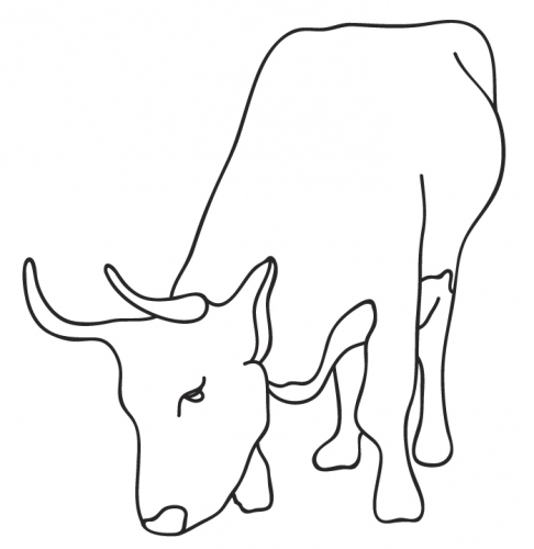 Грисаморе Сидр Воркс