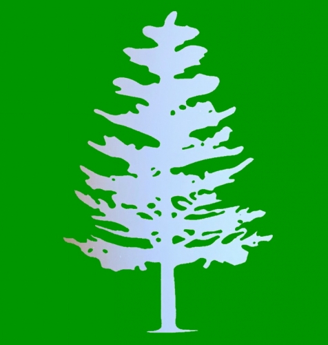 Лоне Пине Комбуча анд Бревинг