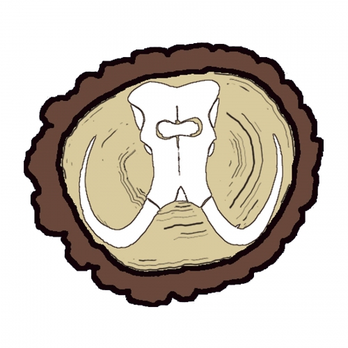 Маммос Оак Бревинг Ко.