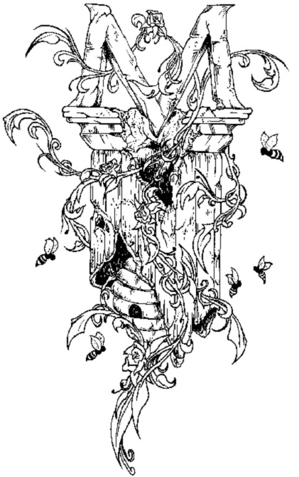 Медеридж Маркус