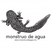 Кервекериа Монструо де Агуа