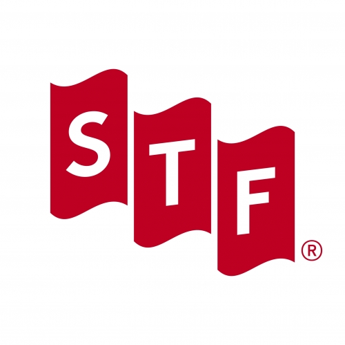 Симпле Сингс Ферментатионс