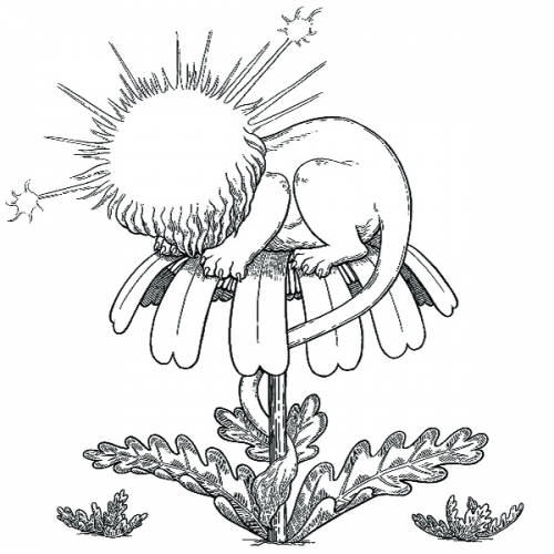 Суккессион Ферментори