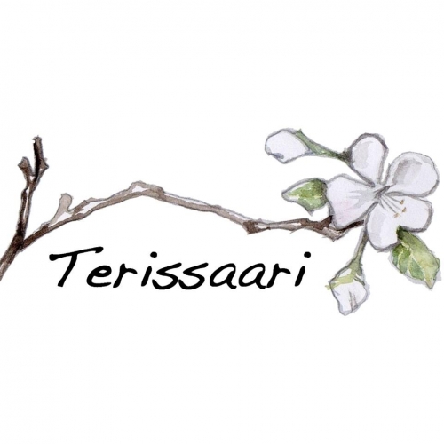 Териссаари