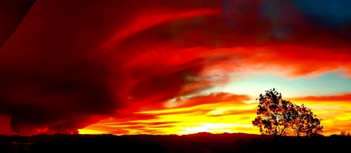 Се ТимБар Бревери