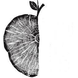 Сорнаппле Бревинг Ко