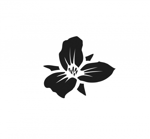 Триллиум Бревинг Компани