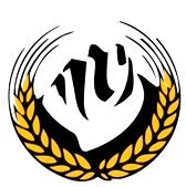 Брауереи Фрастанз