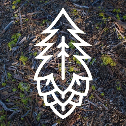 Конифера Кервеза