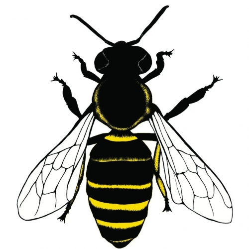 Шеффиелд Меад