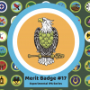 Мерит Бэдж 17