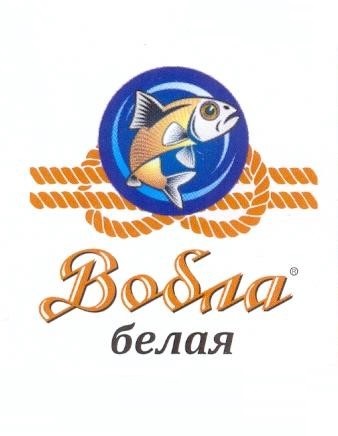 Вобла Белая