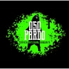 Oso Pardo