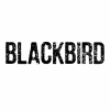 Блэкберд