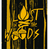Лост Ин зе Вудс