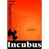 Инкубус