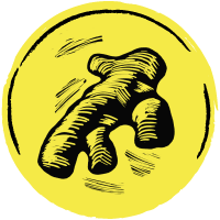 Гинджа Ниндзя