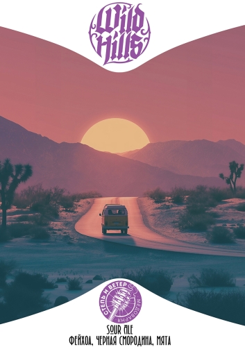 Сауэр Эйл - Фейхоа, Черная Смородина, Мята