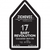Бэйби Революшн 17