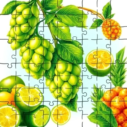 Пацл: Цитра, Чинук, Симко и Каскад