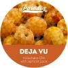 Дежа Вю
