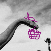 Ни Не Скисло