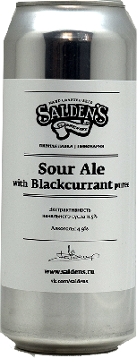 салденс саур эль с пюре черной смородины / salden's sour ale with blackcurrant puree ж/б (0,5 л.)