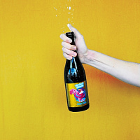 Фанки Фалкон Селебрейшн Эдишн