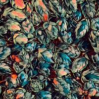 Фреш Хоп Эль Мост