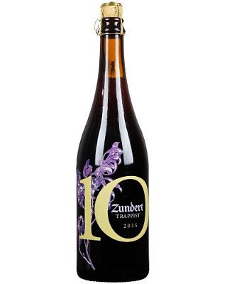 Зюндерт 10 (2025)