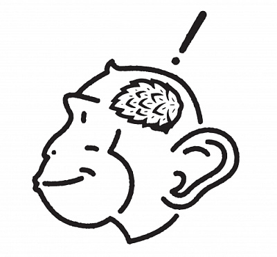 Cheeky Monkey Brewing Co