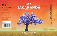 Жакаранда