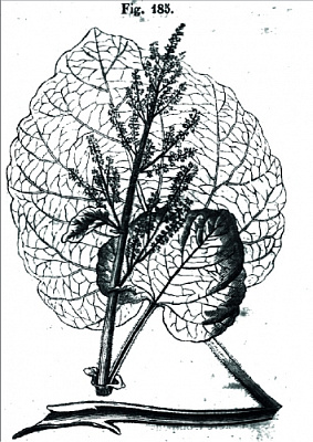 Ассембляж 1 (2022)