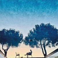 Бретт-НАТ (2021)