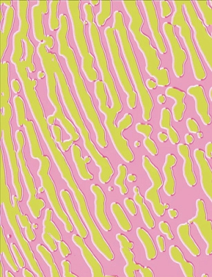 ФЕЙК ПЛАНТС В/ Блюберри, Распберри и Бергамот