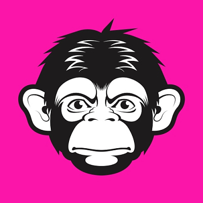 Other Monkey Brewing