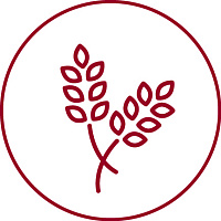 Бред Виннер