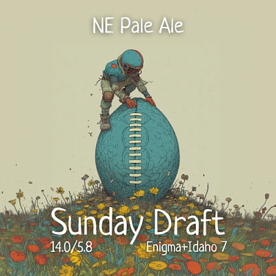 Сандэй Драфт: Энигма+Айдахо 7
