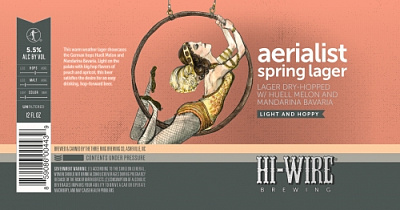 Аэриалист Спринг Лагер