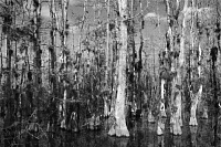 Русский Империал Стаут - Бурбон Баррел Эйджд Бленд