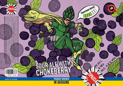 Кислый Эль С Черноплодной Рябиной