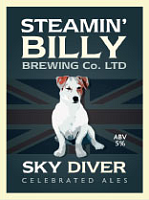 Скай Дайвер