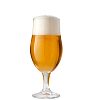 Sour Ale