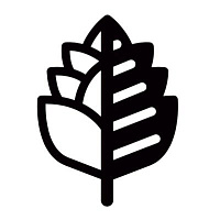 Кан Ай Лик Йор Пайнэпл